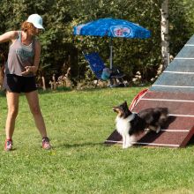 Index 1400px 20200919 IMG 0245