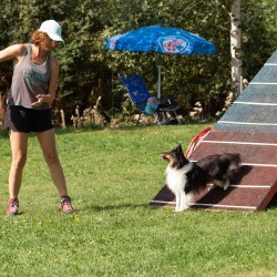 Index 1400px 20200919 IMG 0245