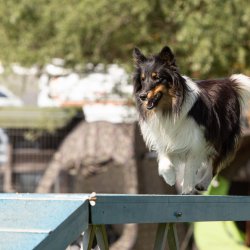 Index 1400px 20200919 IMG 0259