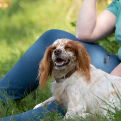 Index 1400px 20200919 IMG 0269