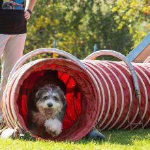 Index 1400px 20200919 IMG 0010