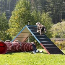 Index 1400px 20200919 IMG 0015