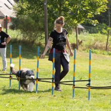 Index 1400px 20200919 IMG 0083