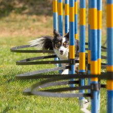 Index 1400px 20200919 IMG 0111