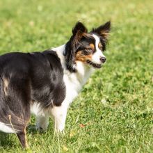 Index 1400px 20200919 IMG 0163