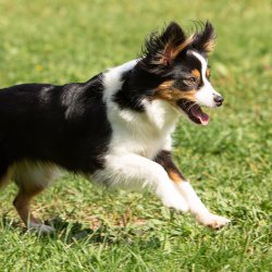 Index 1400px 20200919 IMG 0166