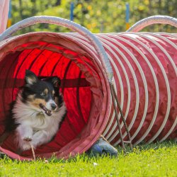 Index 1400px 20200919 IMG 0172