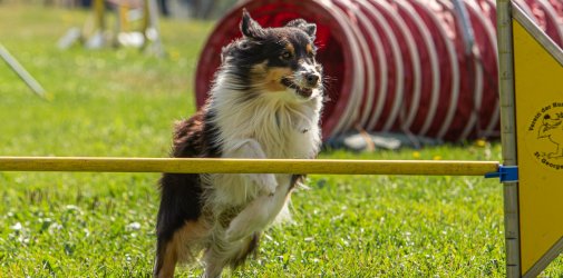 Index 1400px 20200919 IMG 0203