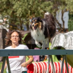 Index 1400px 20200919 IMG 0217