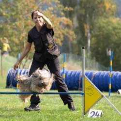 Index 1400px 20200919 IMG 0296