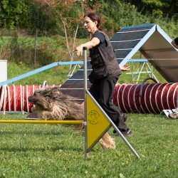 Index 1400px 20200919 IMG 0303