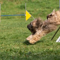 Index 1400px 20200919 IMG 0314