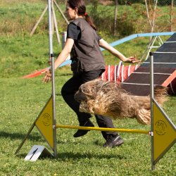 Index 1400px 20200919 IMG 0328