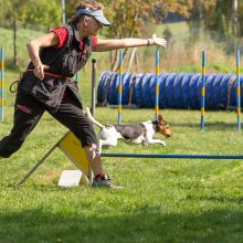 Index 1400px 20200919 IMG 0362