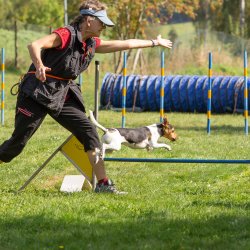 Index 1400px 20200919 IMG 0362