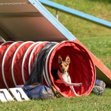 Index 1400px 20200919 IMG 0374