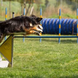 Index 1400px 20200919 IMG 0393