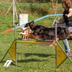 Index 1400px 20200919 IMG 0398