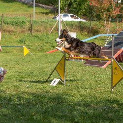 Index 1400px 20200919 IMG 0403