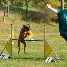 Index 1400px 20200919 IMG 0410