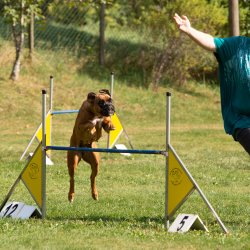 Index 1400px 20200919 IMG 0410