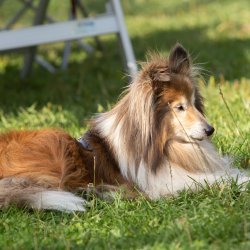 Index 1400px 20200919 IMG 0430