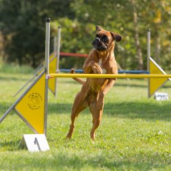 Index 1400px 20200919 IMG 0438