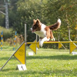 Index 1400px 20200919 IMG 0445