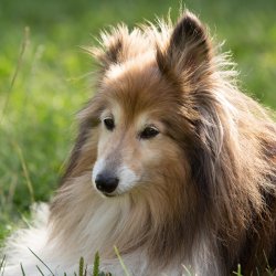 Index 1400px 20200919 IMG 0448