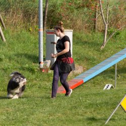 Index 1400px 20200919 IMG 0458