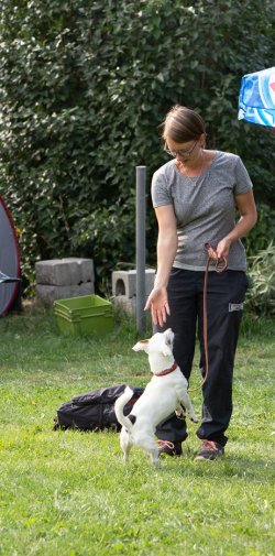 Index 1400px 20200919 IMG 0465