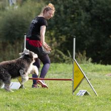 Index 1400px 20200919 IMG 0467