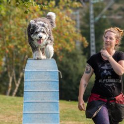 Index 1400px 20200919 IMG 0471