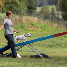 Index 1400px 20200919 IMG 0488