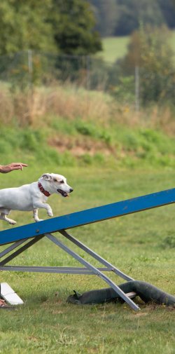 Index 1400px 20200919 IMG 0488