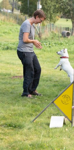 Index 1400px 20200919 IMG 0497