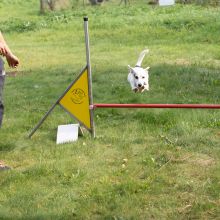 Index 1400px 20200919 IMG 0498