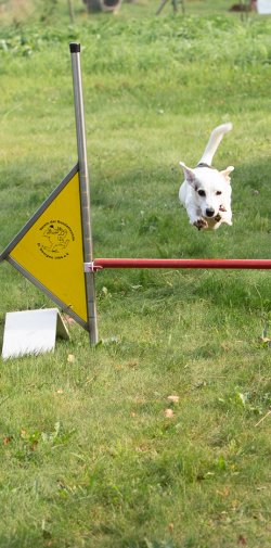 Index 1400px 20200919 IMG 0498