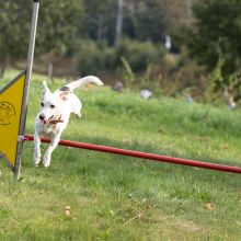 Index 1400px 20200919 IMG 0504