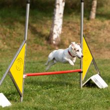 Index 1400px 20200919 IMG 0513