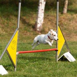 Index 1400px 20200919 IMG 0513