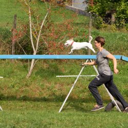 Index 1400px 20200919 IMG 0516