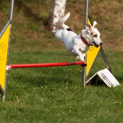 Index 1400px 20200919 IMG 0524