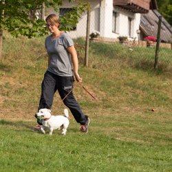 Index 1400px 20200919 IMG 0528