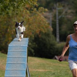 Index 1400px 20200919 IMG 0544