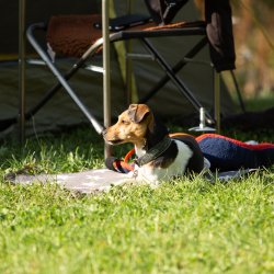 Index 1400px 20200919 IMG 9907