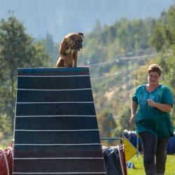 Index 1400px 20200919 IMG 9914