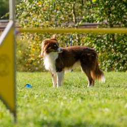 Index 1400px 20200919 IMG 9926