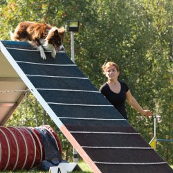 Index 1400px 20200919 IMG 9935