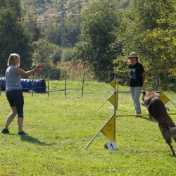 Index 1400px 20200919 IMG 9951